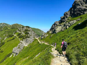 krupowki40 i Zakopane