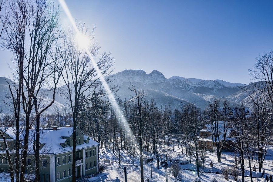 krupowki40 i Zakopane